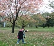 2013 10 05 EauClaireWI 005